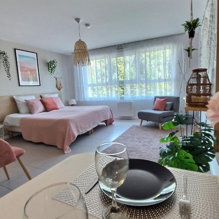 L'Amazonie - Roissy Cdg - Parc Asterix - Paris Appartement Moussy-le-Neuf Buitenkant foto