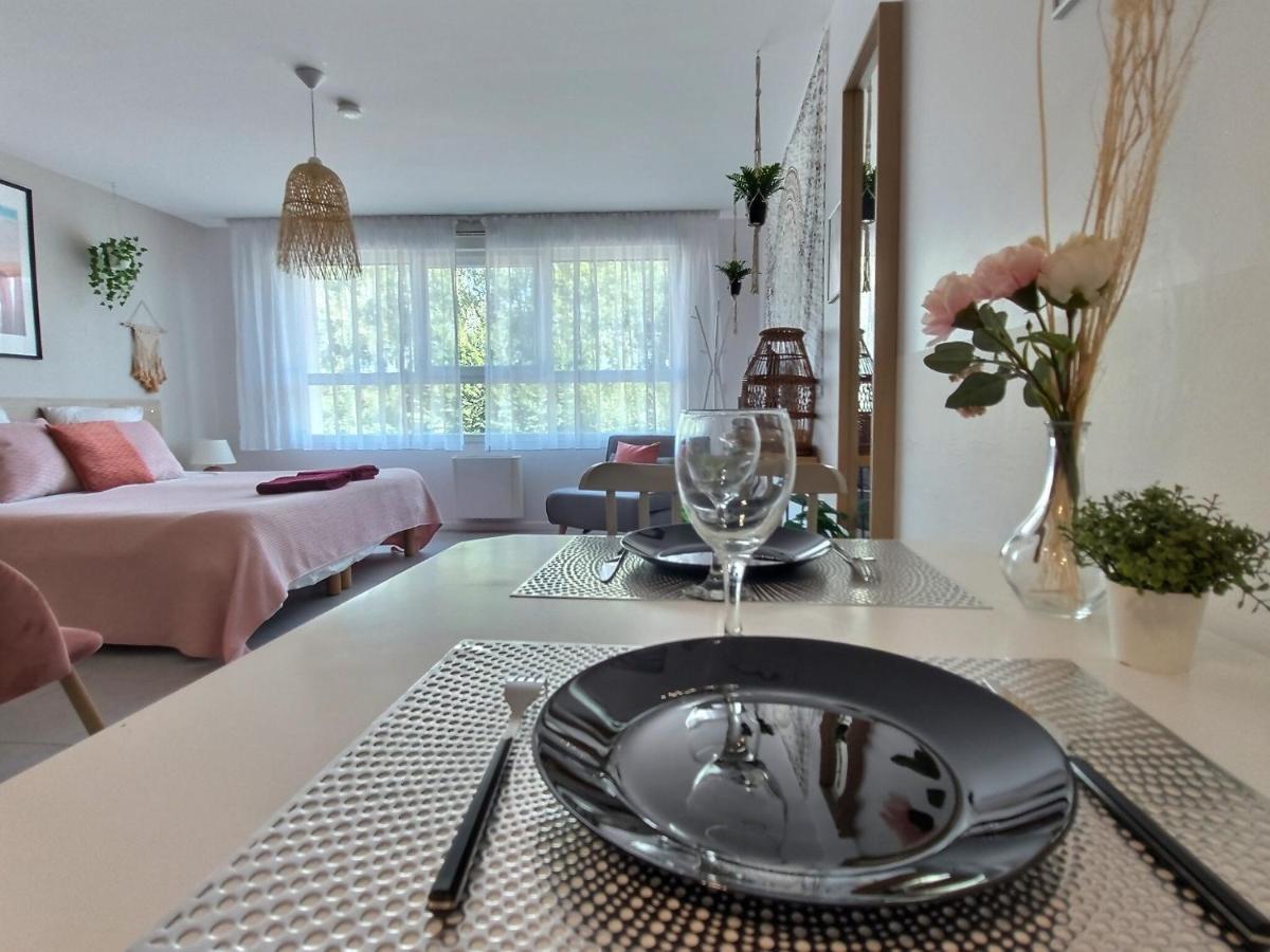 L'Amazonie - Roissy Cdg - Parc Asterix - Paris Appartement Moussy-le-Neuf Buitenkant foto